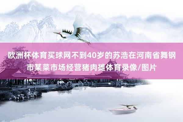 欧洲杯体育买球网不到40岁的苏浩在河南省舞钢市某菜市场经营猪肉摊体育录像/图片