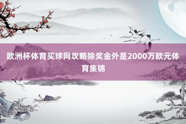 欧洲杯体育买球网攻略除奖金外是2000万欧元体育集锦