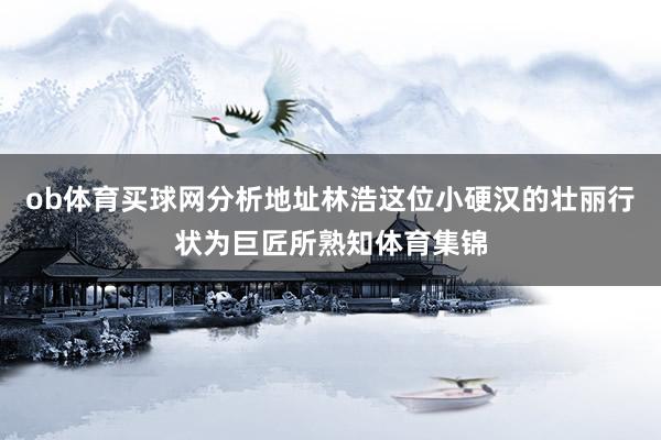 ob体育买球网分析地址林浩这位小硬汉的壮丽行状为巨匠所熟知体育集锦