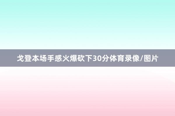 戈登本场手感火爆砍下30分体育录像/图片