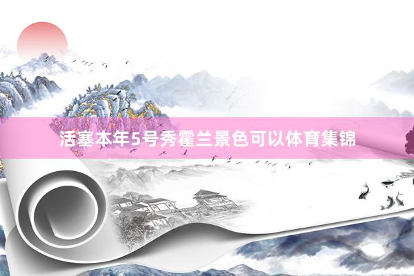 活塞本年5号秀霍兰景色可以体育集锦